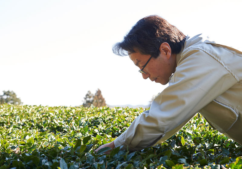 Craftsmanship-of-Tea-Masters-Fujiki Craft